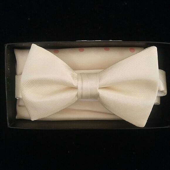 MEN'S LARR BRIO BOW TIE AND HANKY SET - Picture 1 of 2